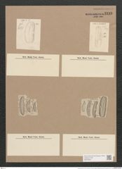 Amphora javanica A. Schm. (de-Toni-Nr.: Genus 36, Species 1669) Zeichnungen Sammlung Grunow Nr. 3198 (NHMW-BOT-W0370647)